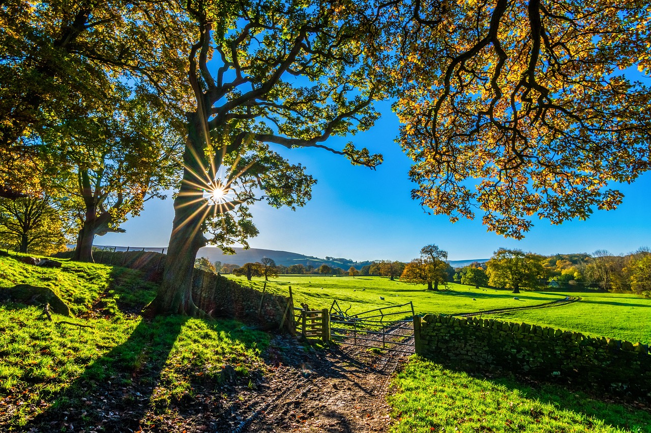 The First Winter: Preparing a Smallholding for Its Coldest Months